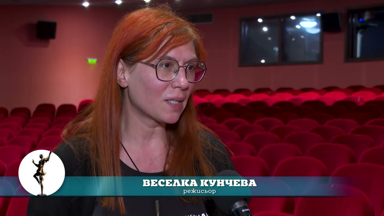 видеодневник